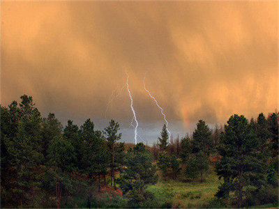 01309_summerstorm_1280x800.jpg