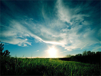 01537_grassysunset_1280x800.jpg