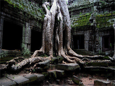 01724_amazingtaprohmtombraidertemple_1280x800.jpg