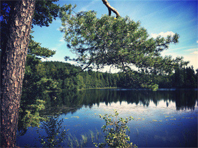 02390_alittleswedishlakesomewhere_1280x800.jpg