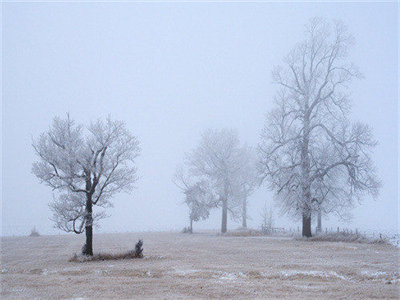 02864_frozenmist_1280x800.jpg