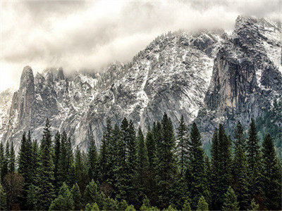 03220_widerspiritsinyosemite_1280x800.jpg