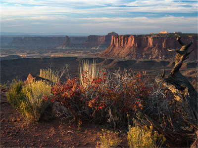 03793_canyonlands_1280x800.jpg