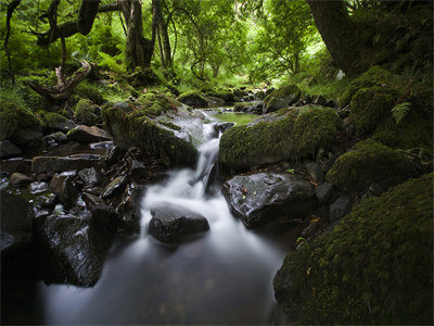 2K 风景壁纸集 (146).jpg