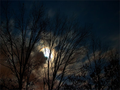 01082_januarynightsky_1440x900.jpg