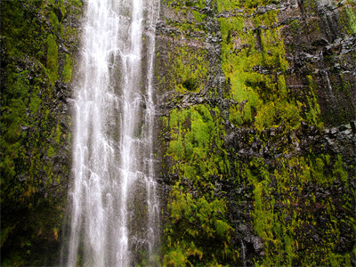 03275_waimokufalls_1440x900.jpg