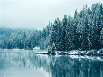 03134_firstlightofwinter_1280x800.jpg