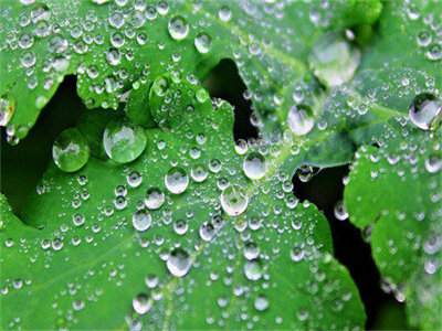 03186_waterdroplets_1280x800.jpg