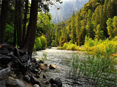 02216_yosemitefalls_1280x800.jpg