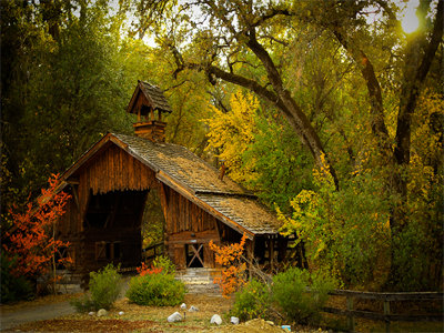 03451_fall_1440x900.jpg
