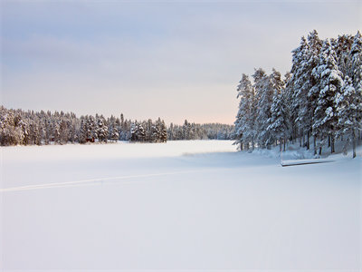 03499_landscapeinsnow_1440x900.jpg