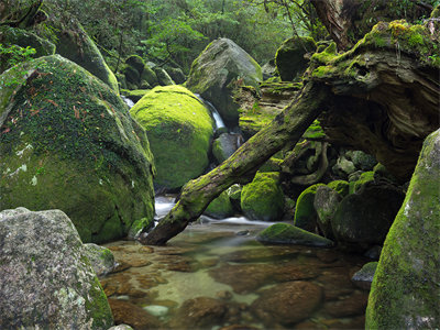 03602_shirataniunsuikyo_1440x900.jpg